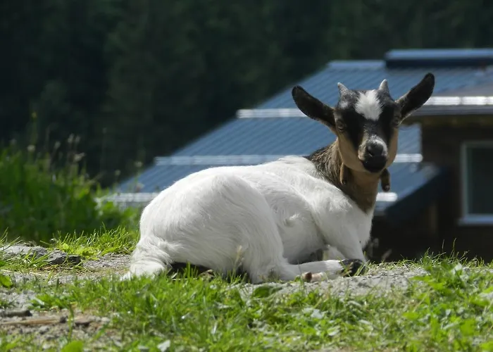 Blasbichlerhof Vendégház